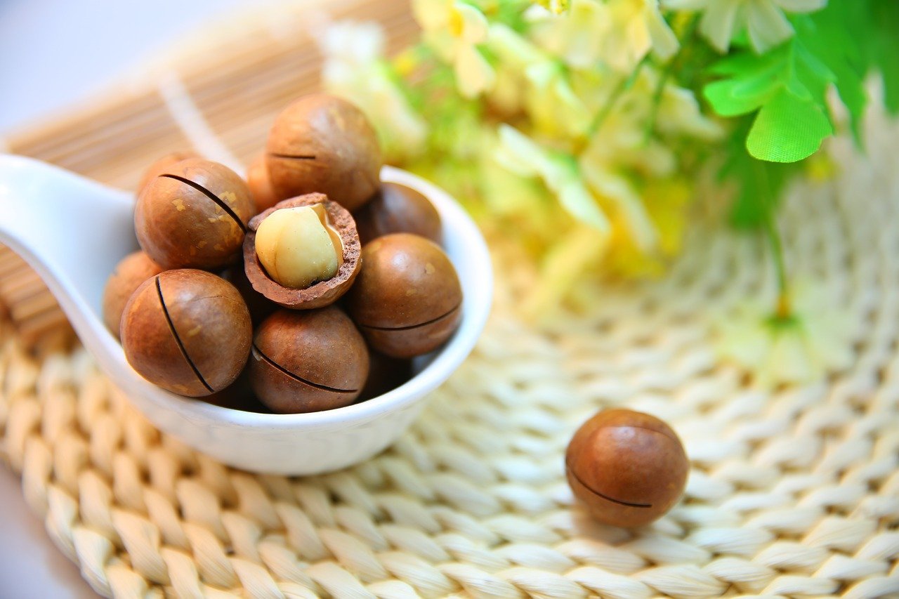 macadamia nuts, nuts, food-1098170.jpg